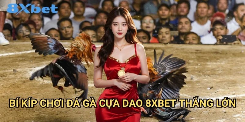 Đá gà cựa dao 8xbet kịch tính và hấp dẫn 3 Bí kíp chơi đá gà cựa dao 8xbet thắng lớn