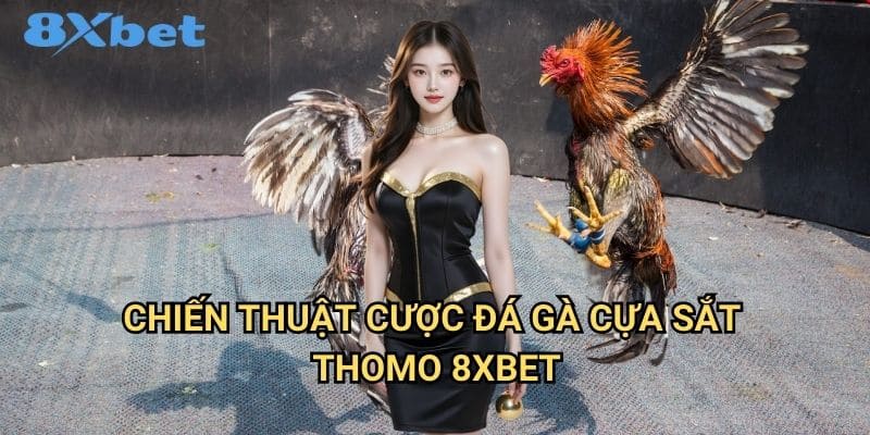 Đá gà cựa sắt Thomo 8xbet đầy mạnh mẽ 3 Chiến thuật cược đá gà cựa sắt Thomo 8xbet
