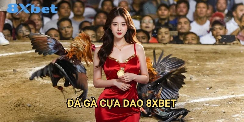 Đá gà cựa dao 8xbet kịch tính và hấp dẫn 1 Đá gà cựa dao 8xbet kịch tính và hấp dẫn