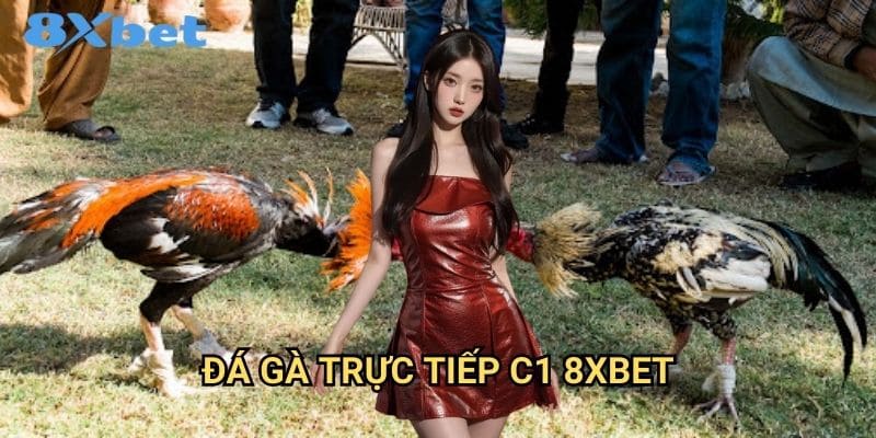 Đá gà trực tiếp C1 8xbet chất lượng cao cấp 1 Đá gà trực tiếp C1 8xbet chất lượng cao cấp
