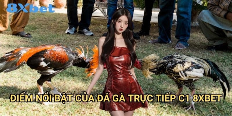 Đá gà trực tiếp C1 8xbet chất lượng cao cấp 2 Điểm nổi bật của đá gà trực tiếp C1 8xbet