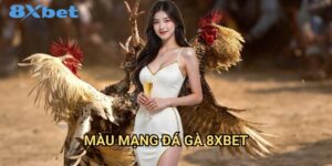 Màu mạng đá gà 8xbet và ý nghĩa phong thủy
